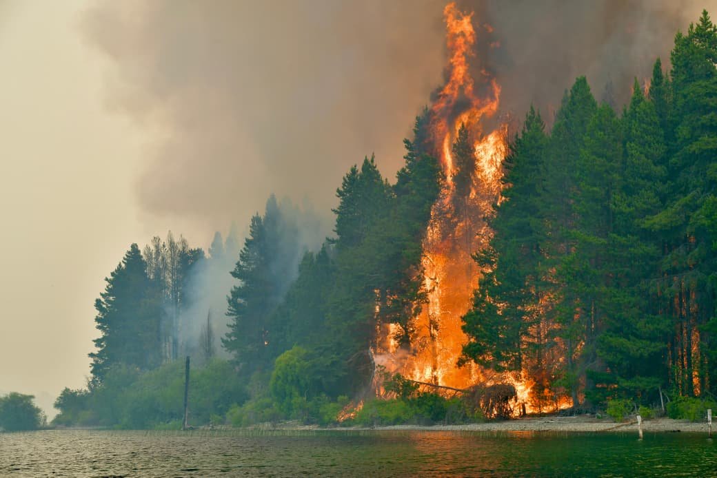 SHAMAN HERRERA: “HAY GENTE QUE NOS QUIERE PRENDER FUEGO”