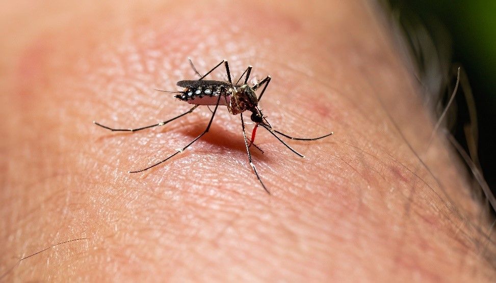 DENGUE Y SU RELACIÓN CON EL CAMBIO CLIMÁTICO