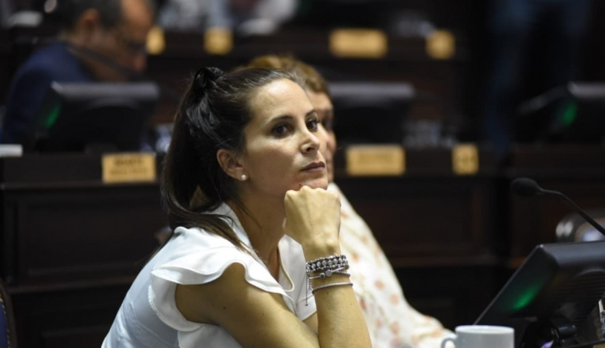 MICAELA MORÁN: "NO PODEMOS DEJAR AL EJECUTIVO SIN PRESUPUESTO"