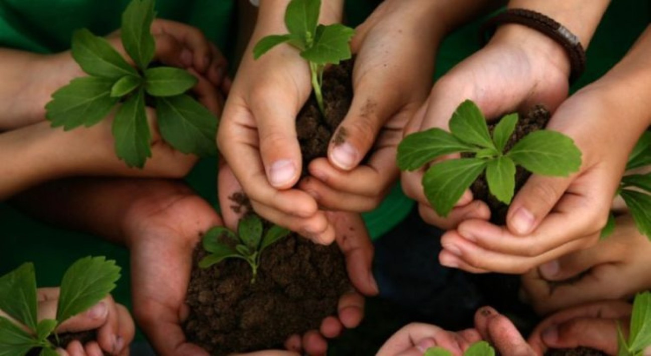 SE CELEBRA HOY, EL DÍA MUNDIAL DE LA EDUCACIÓN AMBIENTAL.