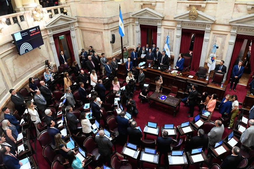 "HAY DOS ASPECTOS CLAVES, UNO TIENE QUE VER CON PRIVATIZACIONES Y OTRO CON LA DELEGACIÓN DE FACULTADES”