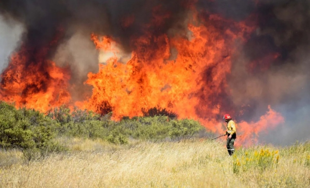 LA LLUVIA ALIVIÓ LOS INCENDIOS EN EL BOLSÓN