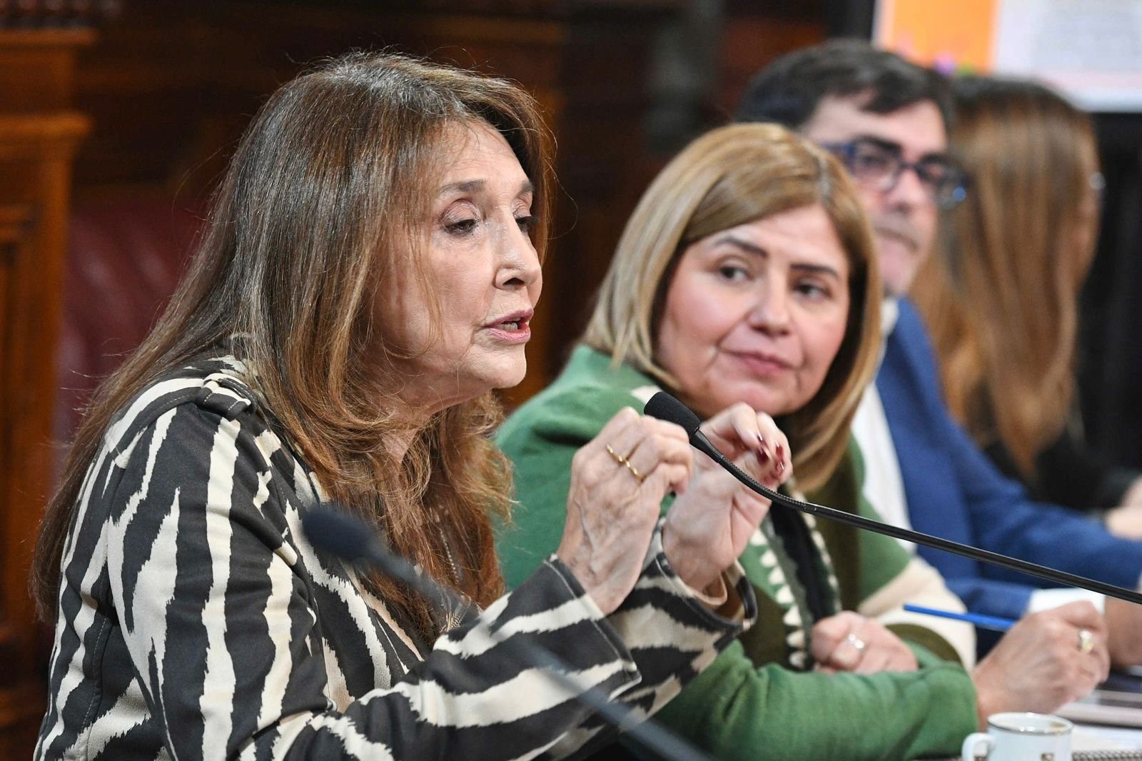 MARISA GRAHAM: “LA EVIDENCIA ES CONTRARIA A LO QUE PLANTEA EL GOBIERNO NACIONAL”