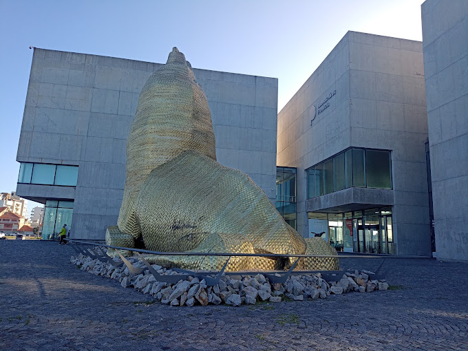 EZEQUIEL PÉREZ SÁENZ: “MUSEO MAR ES POPULAR, ABIERTO Y BUSCA ABARCAR DISTINTOS PÚBLICOS”