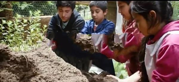 AVANZA LA IMPLEMENTACIÓN DE LEY DE EDUCACIÓN AMBIENTAL