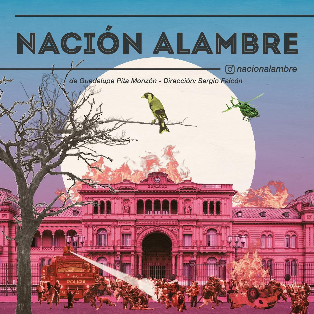 GUADALUPE PITA MONZÓN PRESENTA "NACIÓN ALAMBRE"