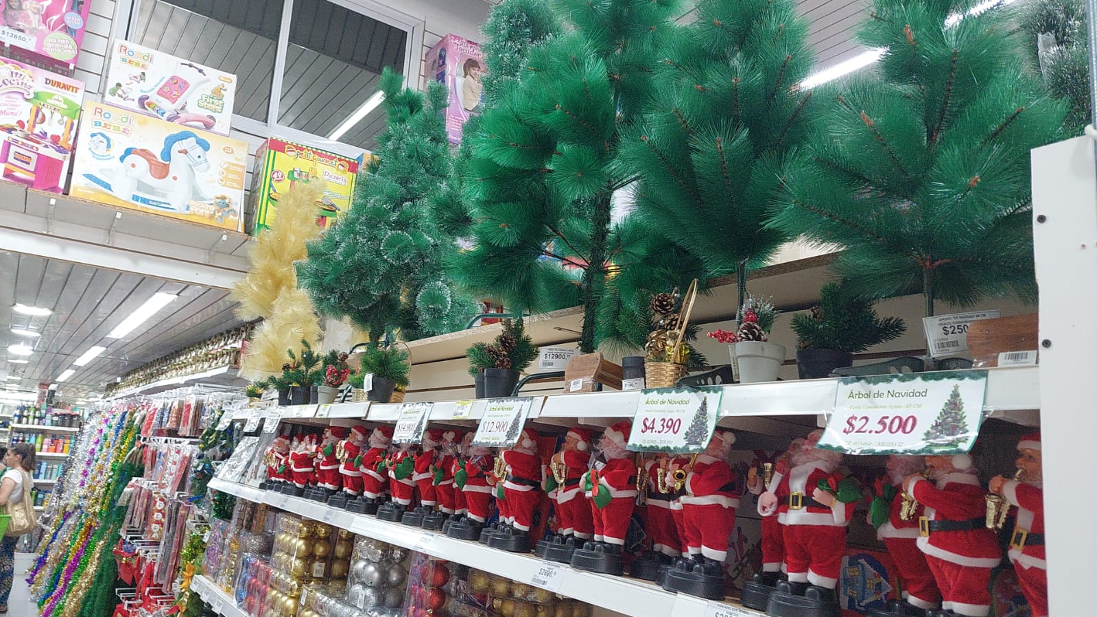 DESDE $850 SE PUEDE ADQUIRIR UN ÁRBOL PARA CELEBRAR LA NAVIDAD