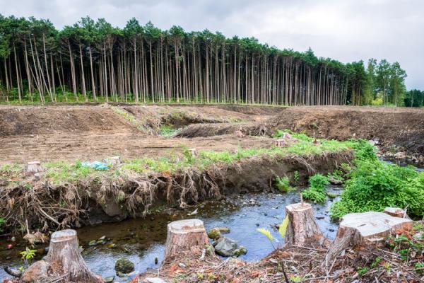 PACTO DE MAYO CONTRA EL AMBIENTE