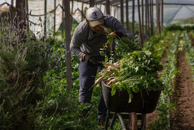 FERIAZO PARA DEFENDER LOS DERECHOS DE LA AGRICULTURA FAMILIAR