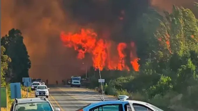 ASEGURAN QUE SE LLEVARON A PERSONAS POR ESTAR “EN LA ZONA DE LOS INCENDIOS, SIN NINGUNA PRUEBA"