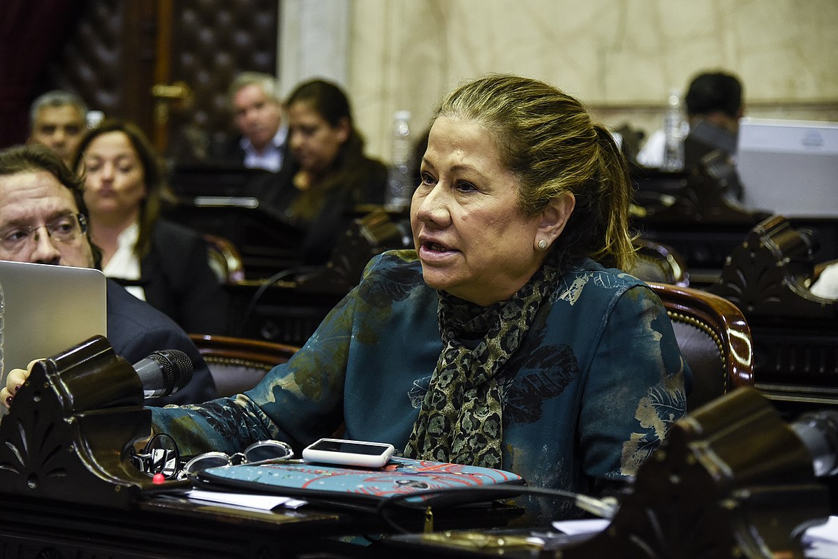 GRACIELA CAMAÑO DIJO QUE KICILLOF PUEDE SER “LA PROA DE UNA NUEVA RECOMPOSICIÓN” DEL PERONISMO