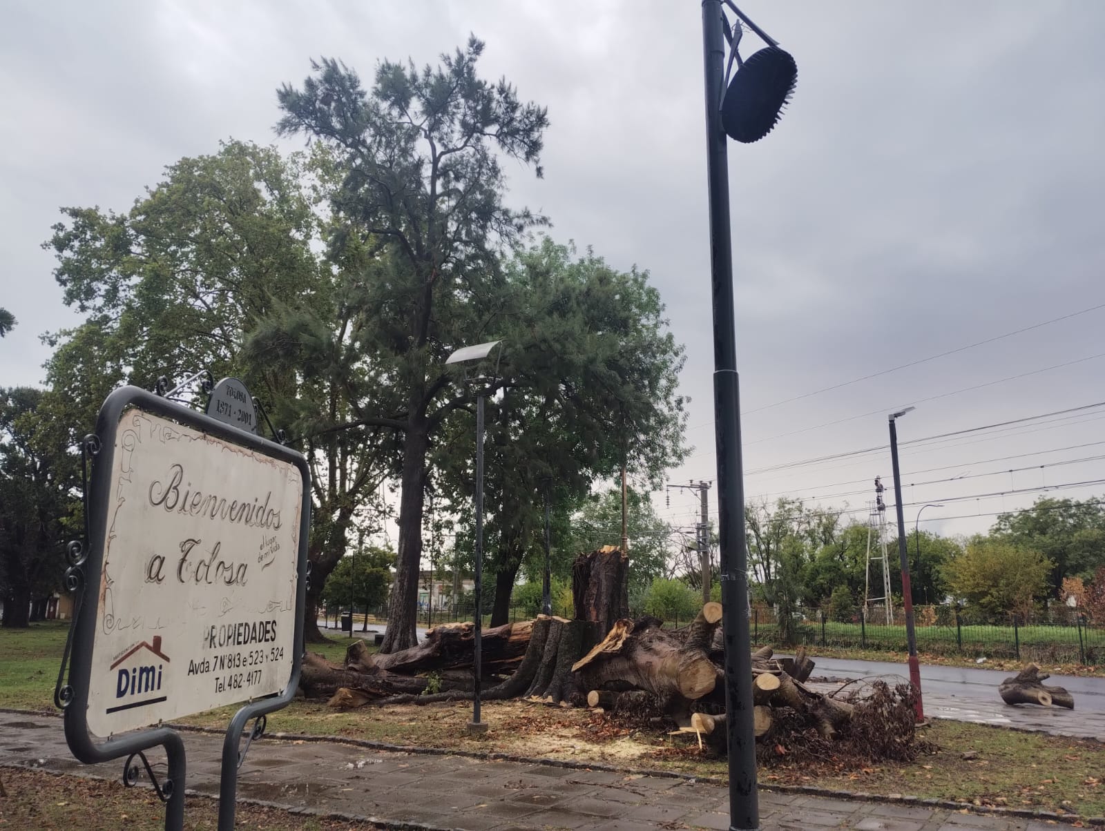 FUERTE IMPACTO DEL TEMPORAL EN LA PLATA