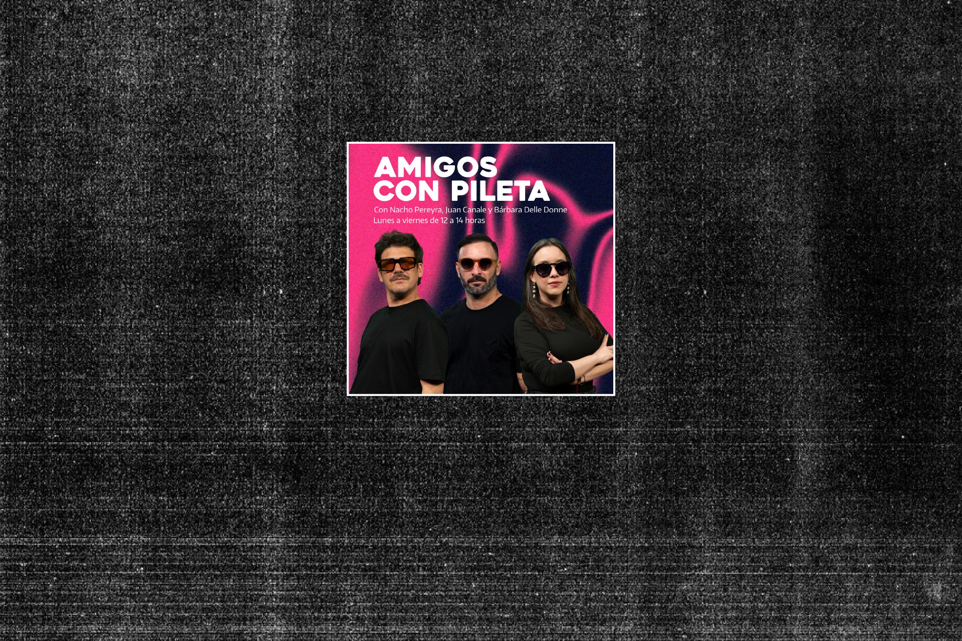AMIGOS CON PILETA