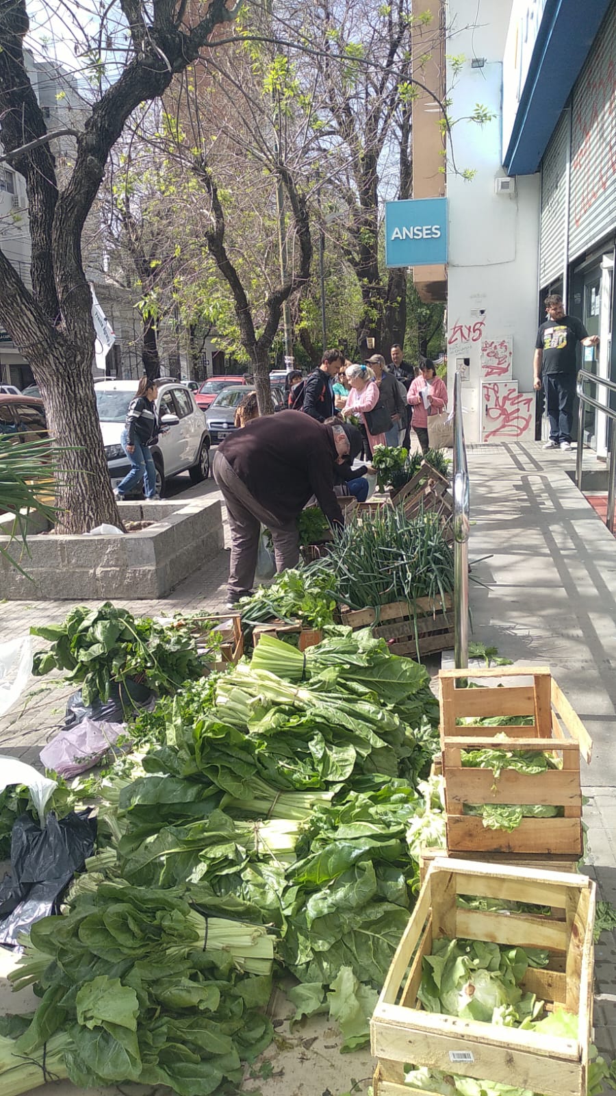 PRODUCTORES REALIZAN UN VERDURAZO FRENTE AL PAMI