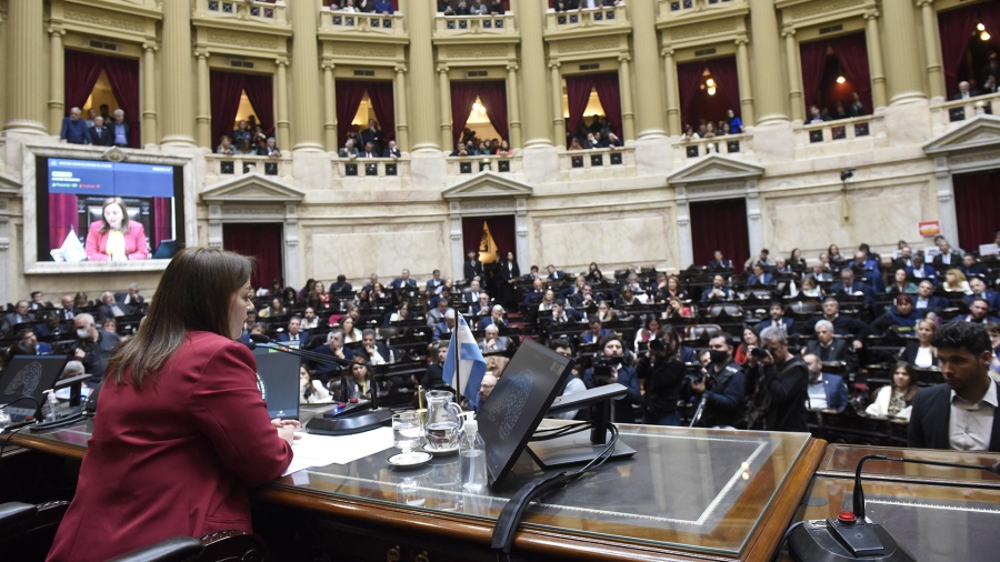 ATENTADO CONTRA LA VICEPRESIDENTA: DIPUTADOS CONVOCÓ A UNA SESIÓN ESPECIAL