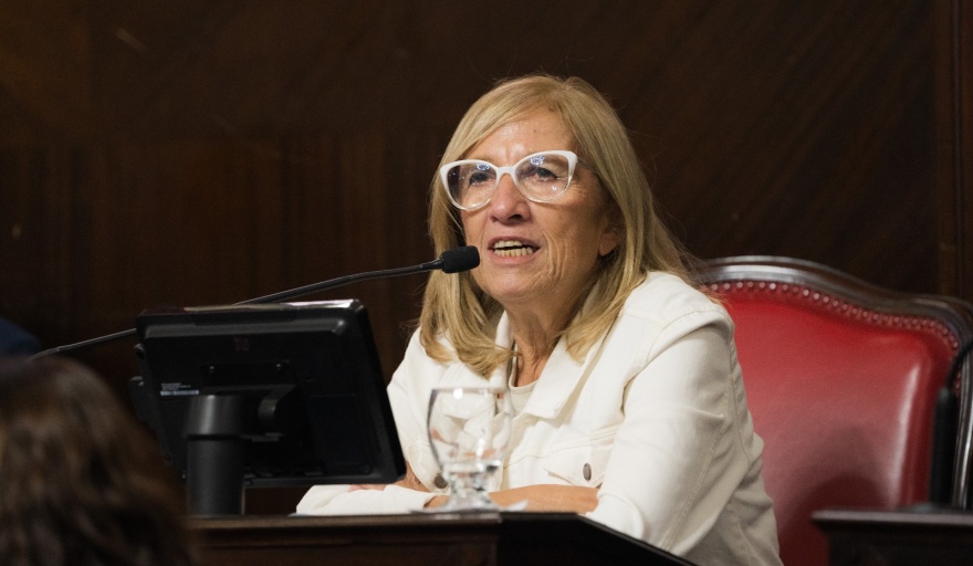 MARÍA ROSA MARTÍNEZ: “CON LA LEY INCONSTITUCIONAL DE VIDAL, LA CAJA FUE PERDIENDO CADA VEZ MÁS SOLVENCIA"