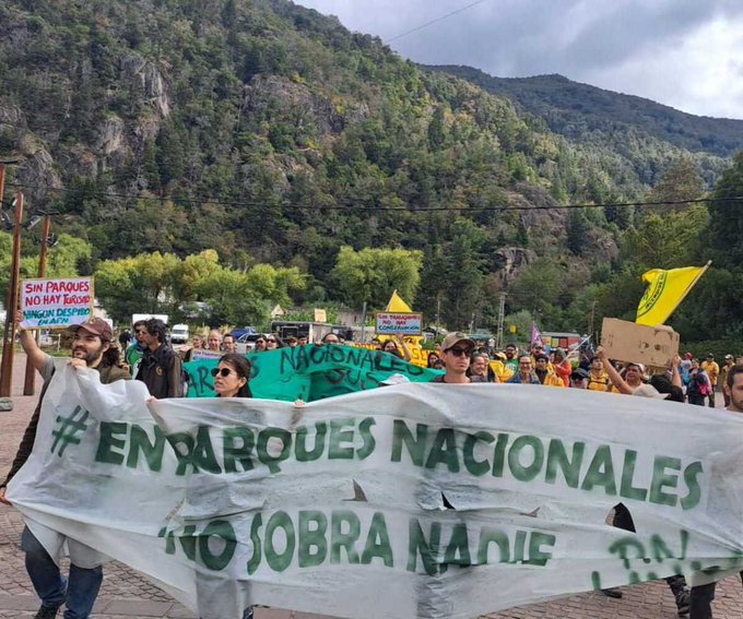 ANDREA TORRES: “ME ELIGIÓ A MÍ POR LO QUE ESCRIBO EN MIS REDES PERSONALES”