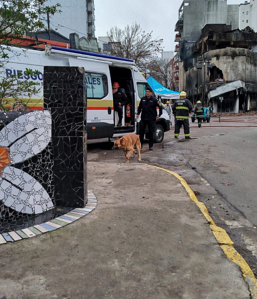 CONSIDERAN QUE EL EDIFICIO CONTIGUO NO PODRÁ SER HABITADO HASTA QUE SE DEMUELA EL DEPÓSITO