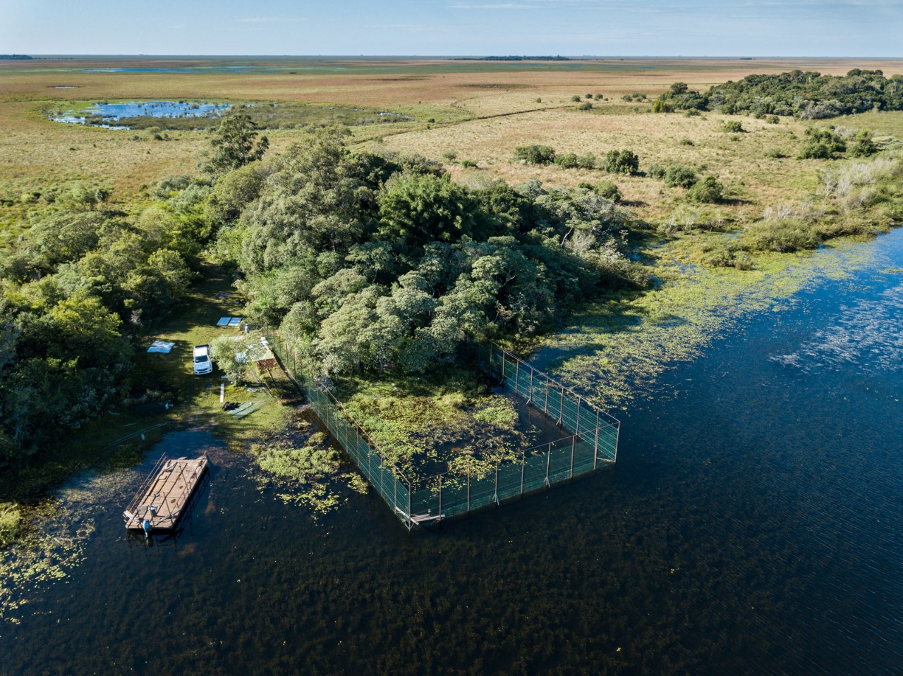 “VIVIMOS TRES CRISIS AMBIENTALES: CAMBIO CLIMÁTICO, PANDEMIAS Y PÉRDIDA DE BIODIVERSIDAD”