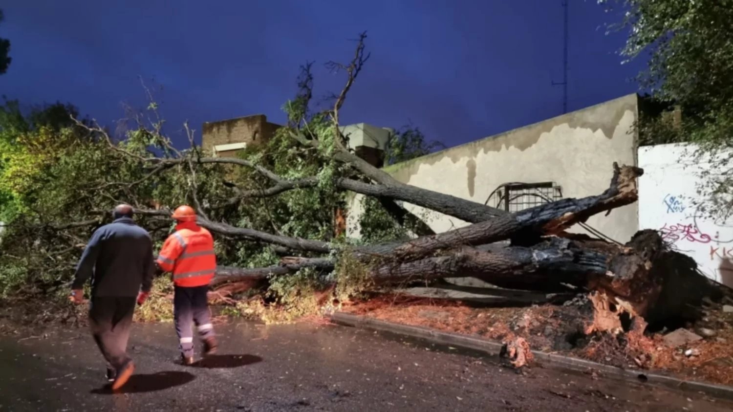 BAHÍA BLANCA: “EL TEMPORAL DEJÓ CONSECUENCIAS QUE NO SE HABÍAN VISTO EN AÑOS”