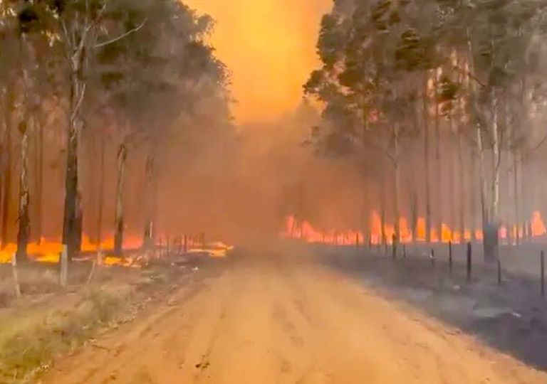 INCENDIOS EN CORRIENTES: “LOS DAÑOS SON IRREVERSIBLES"