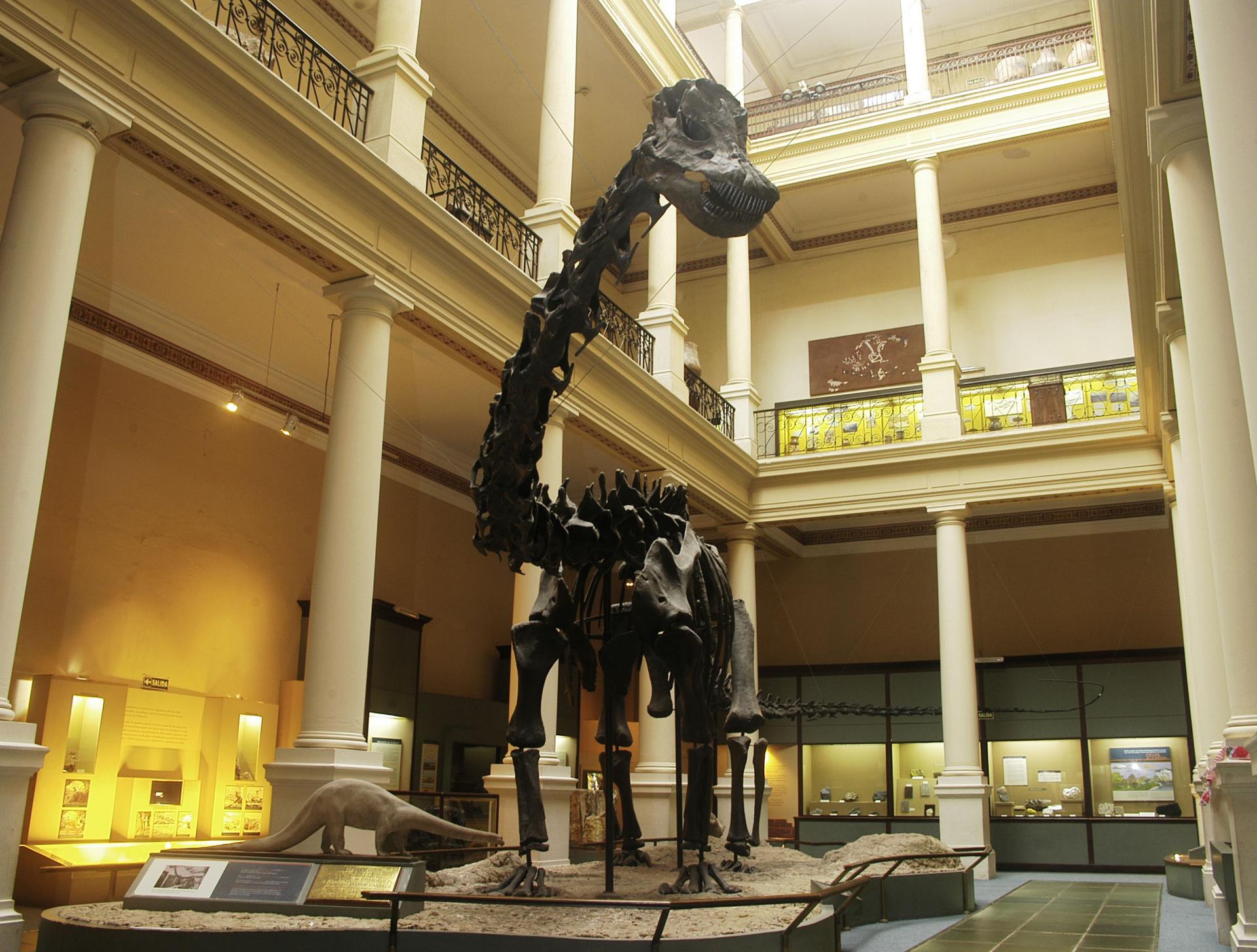 EL MUSEO DE CIENCIAS NATURALES PRESENTA "GIGANTES DEL MUSEO"