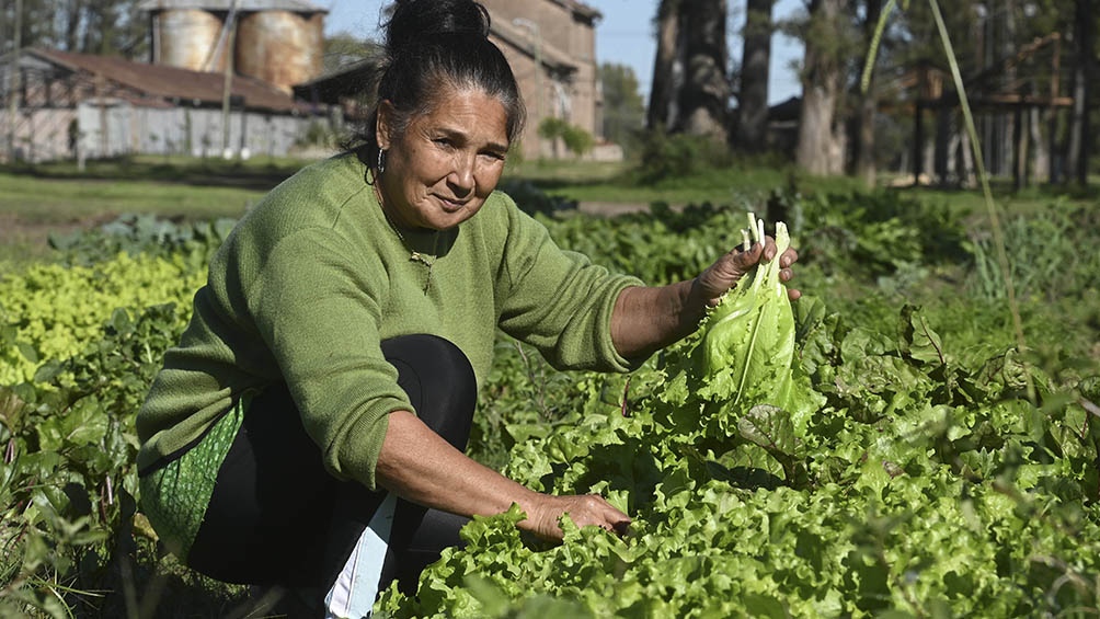 LANZAN EL PROGRAMA SEMILLAR